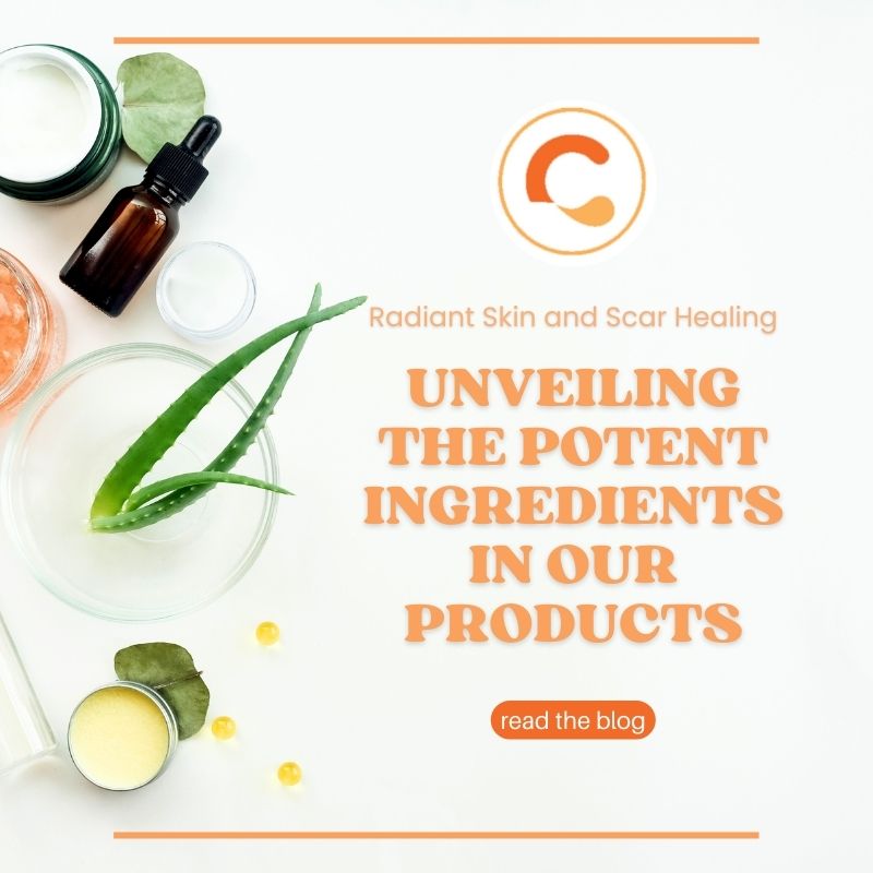 5 Potent Ingredients in Our Products that Support Your Journey to Knock-Out Skin