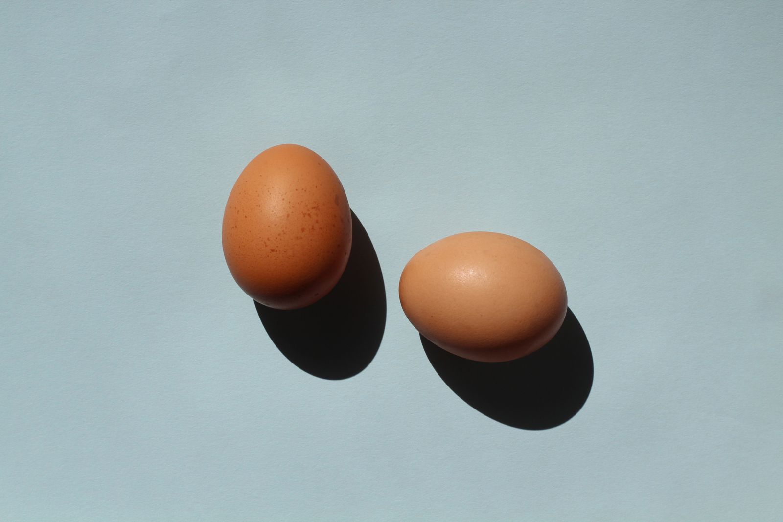 Two brown eggs on a light blue background